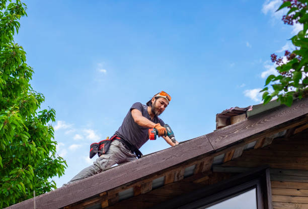 Best Asphalt Shingle Roofing  in Lyman, MS